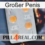 Großer Penis 24